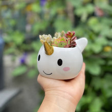 Load image into Gallery viewer, Narwhal Planter Pot
