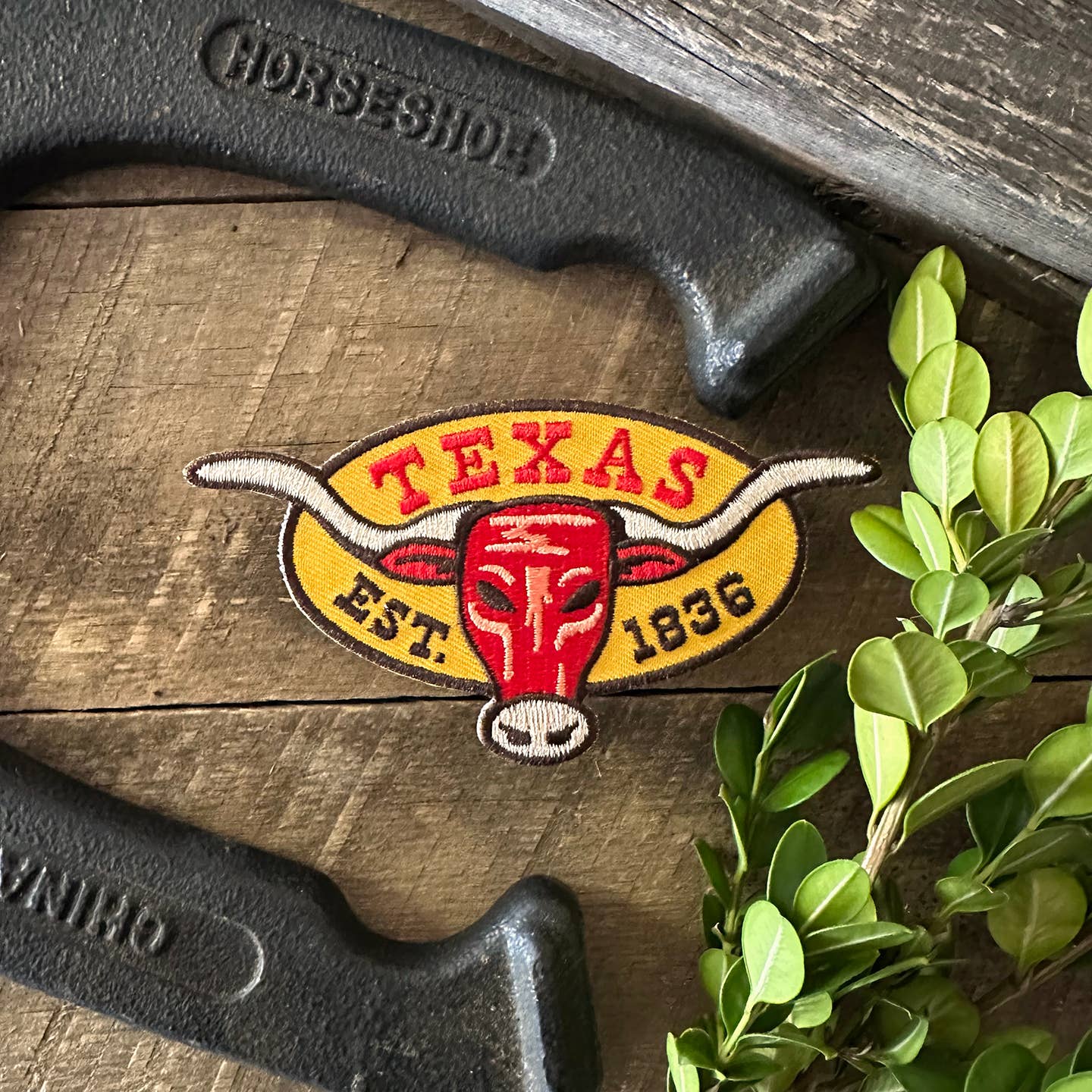 Longhorn Texas Patch | Bryan Spear Studio (TX)