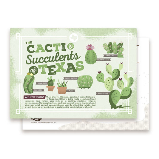Cacti & Succulents of Texas Postcard | Bryan Spear Studio (TX)
