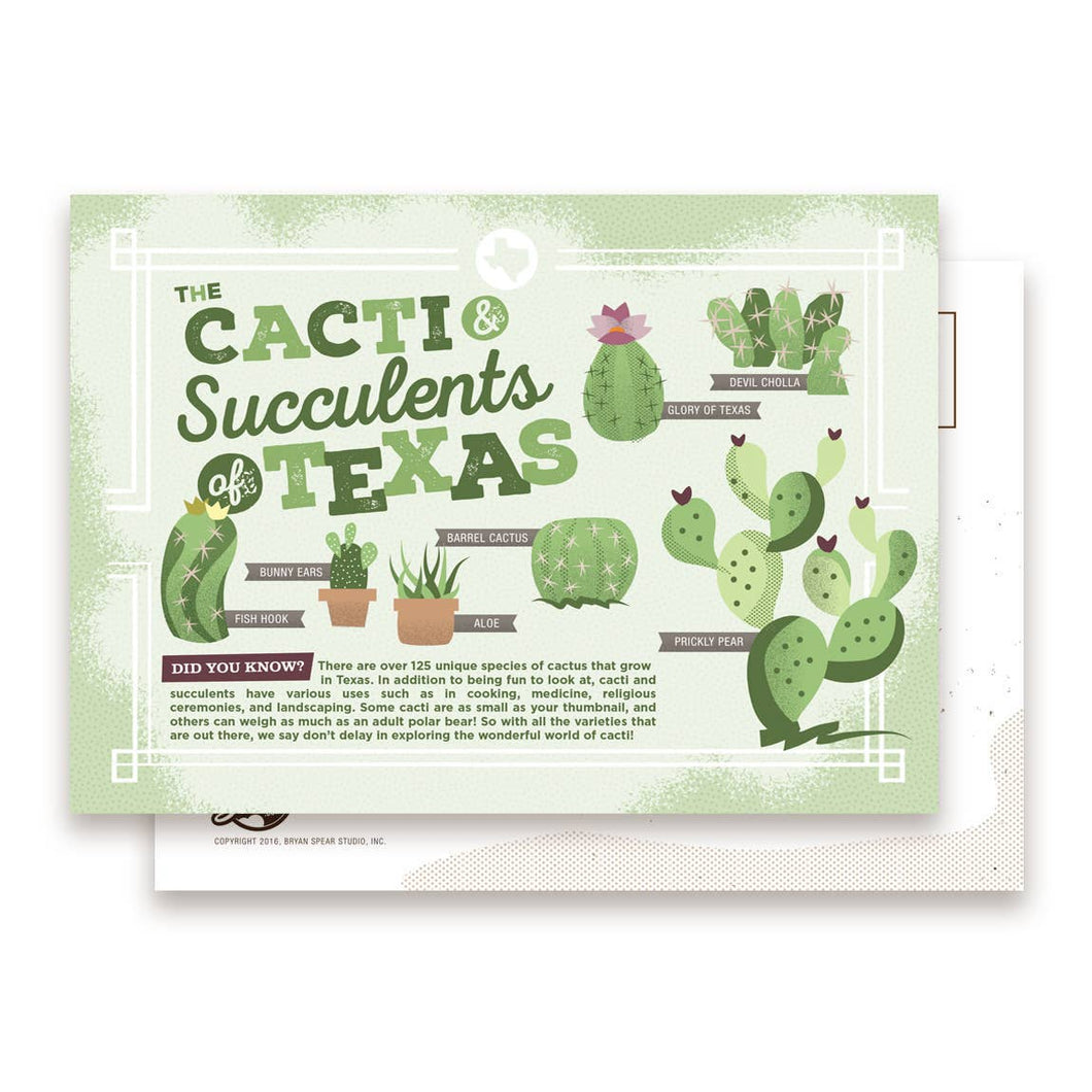 Cacti & Succulents of Texas Postcard | Bryan Spear Studio (TX)