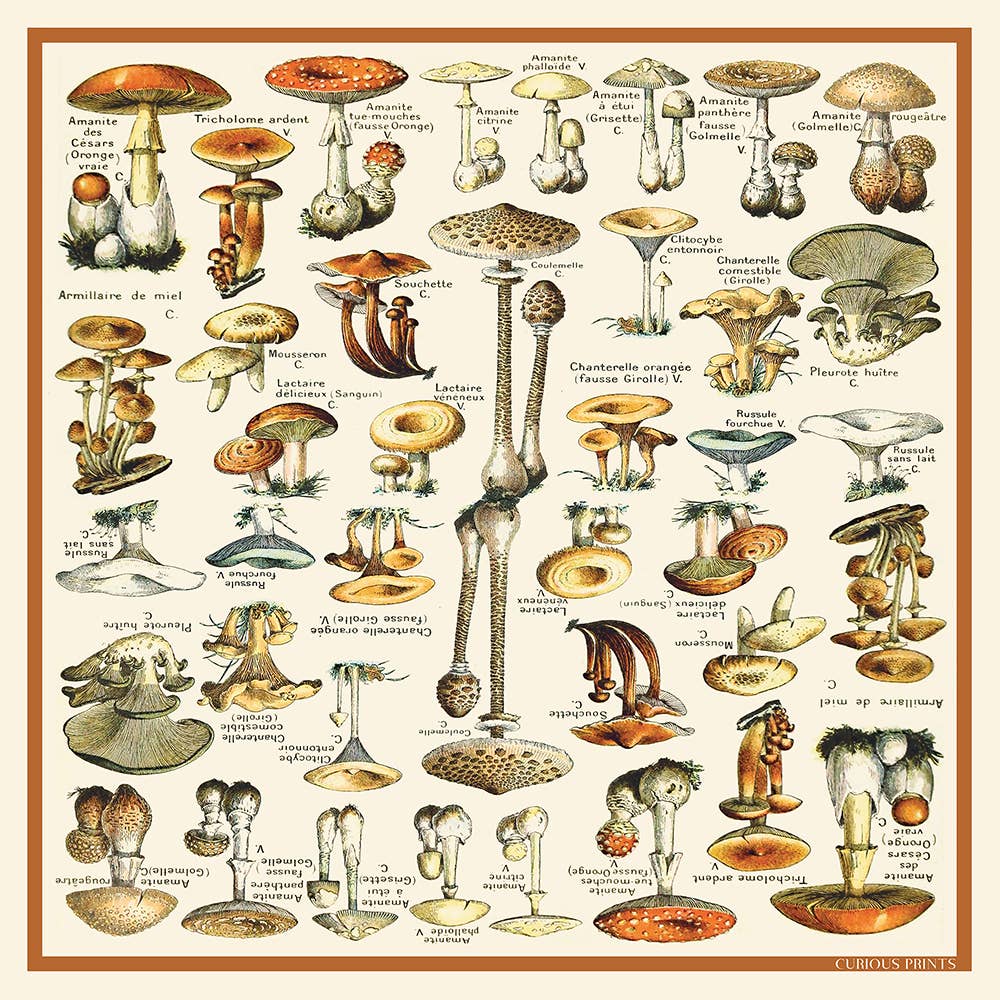 Silk Mushroom Scarf | Curious Prints (TX)