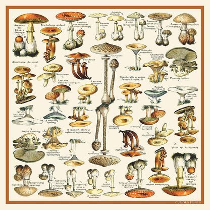 Silk Mushroom Scarf | Curious Prints (TX)