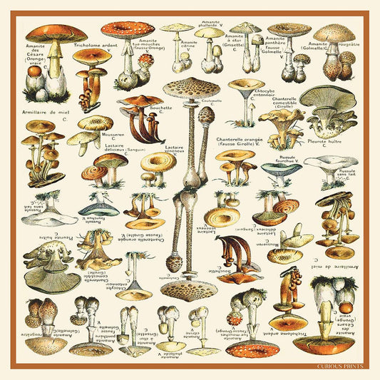 Silk Mushroom Scarf | Curious Prints (TX)