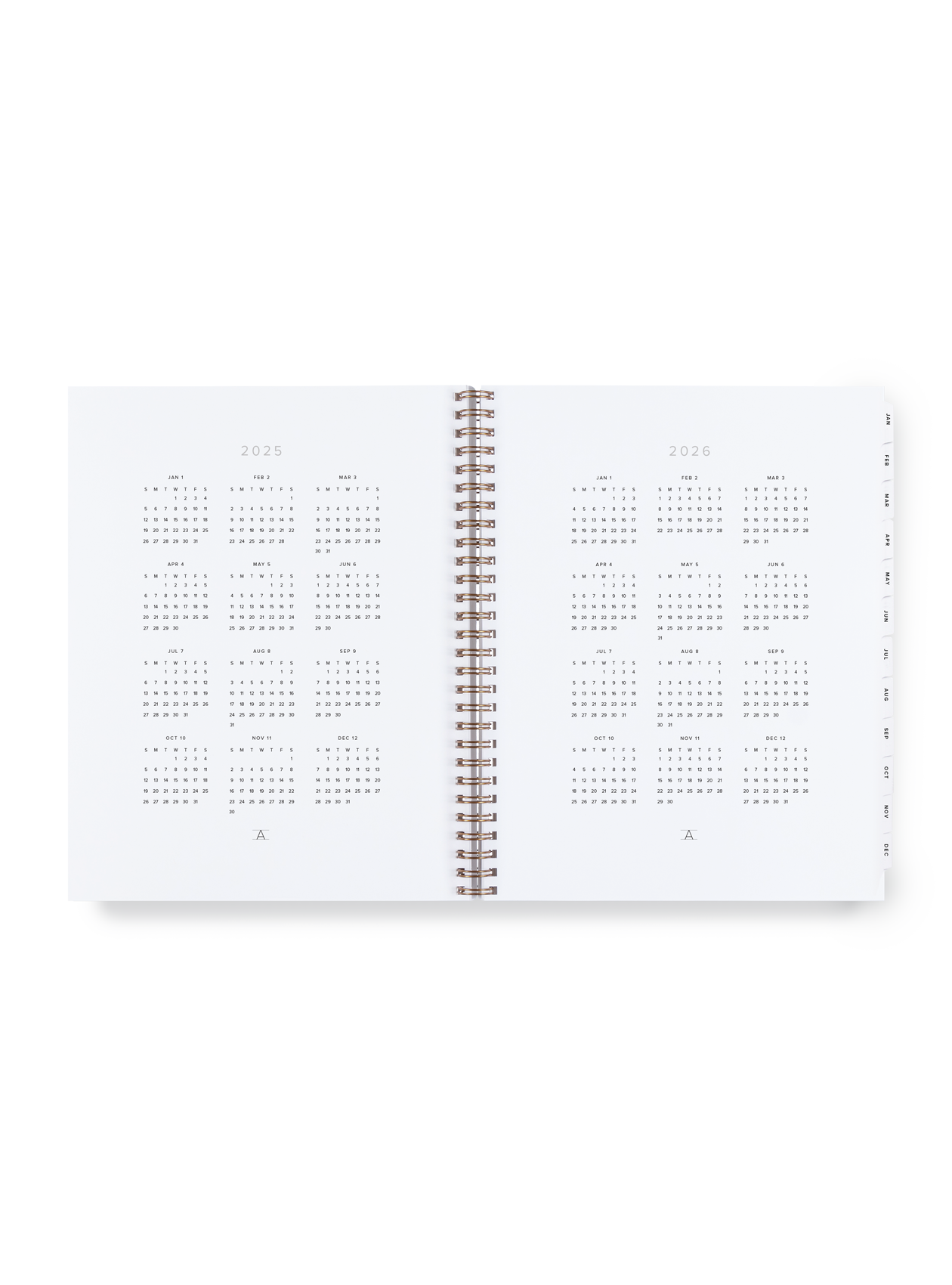 2025 Year Task Planner | Appointed (DC)