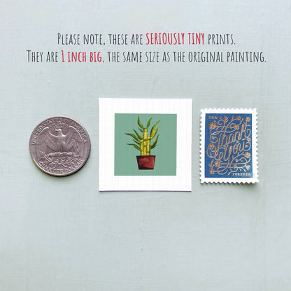Bamboo Mini Art Print | Mick's Art Good (WA)