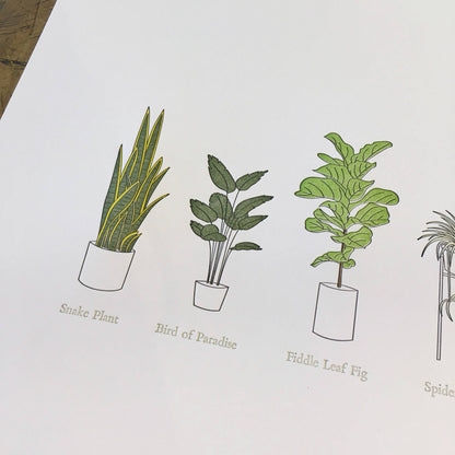 A Few Houseplants Letterpress Print | Susan Porteous (OR)