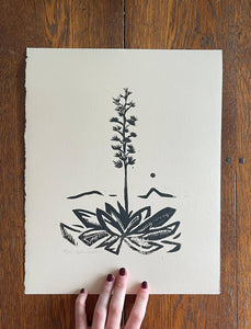 Agave Linocut Print | Ellen Orchard (TX)