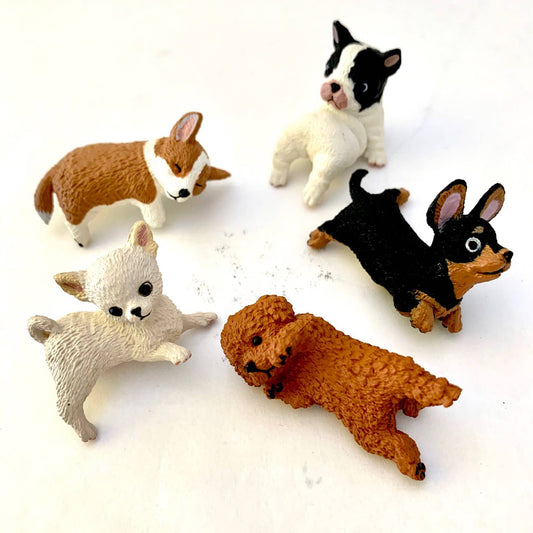 Playful Hanging Dogs Blind Box | BCmini (Japan)