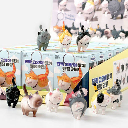 Best Friend Cat Figure Collectable Keyring Mystery Box  | K-Wonderland (Korea)