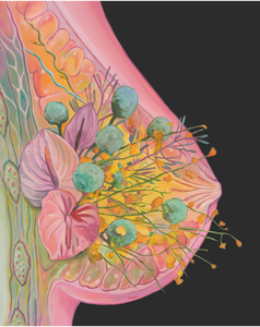 Floral Breast Anatomy Art Print | Trisha Thompson Adams (OK)