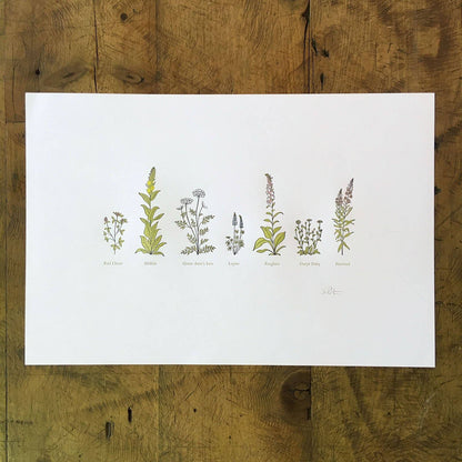 A Few Wildflowers Letterpress Print | Susan Porteous (OR)