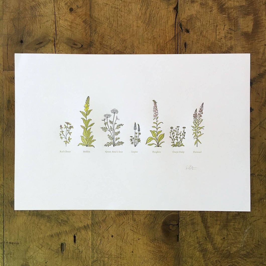A Few Wildflowers Letterpress Print | Susan Porteous (OR)