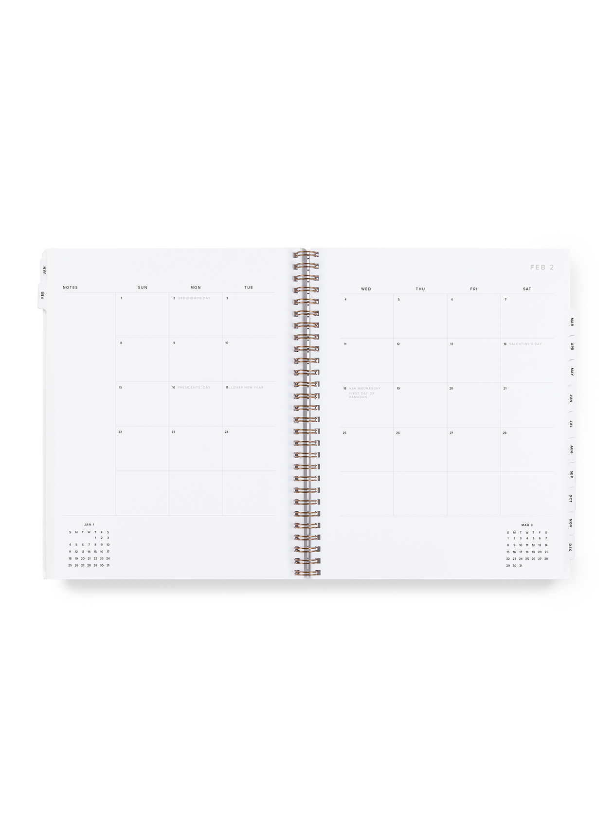 2026 Year Task Planner | Appointed (DC)