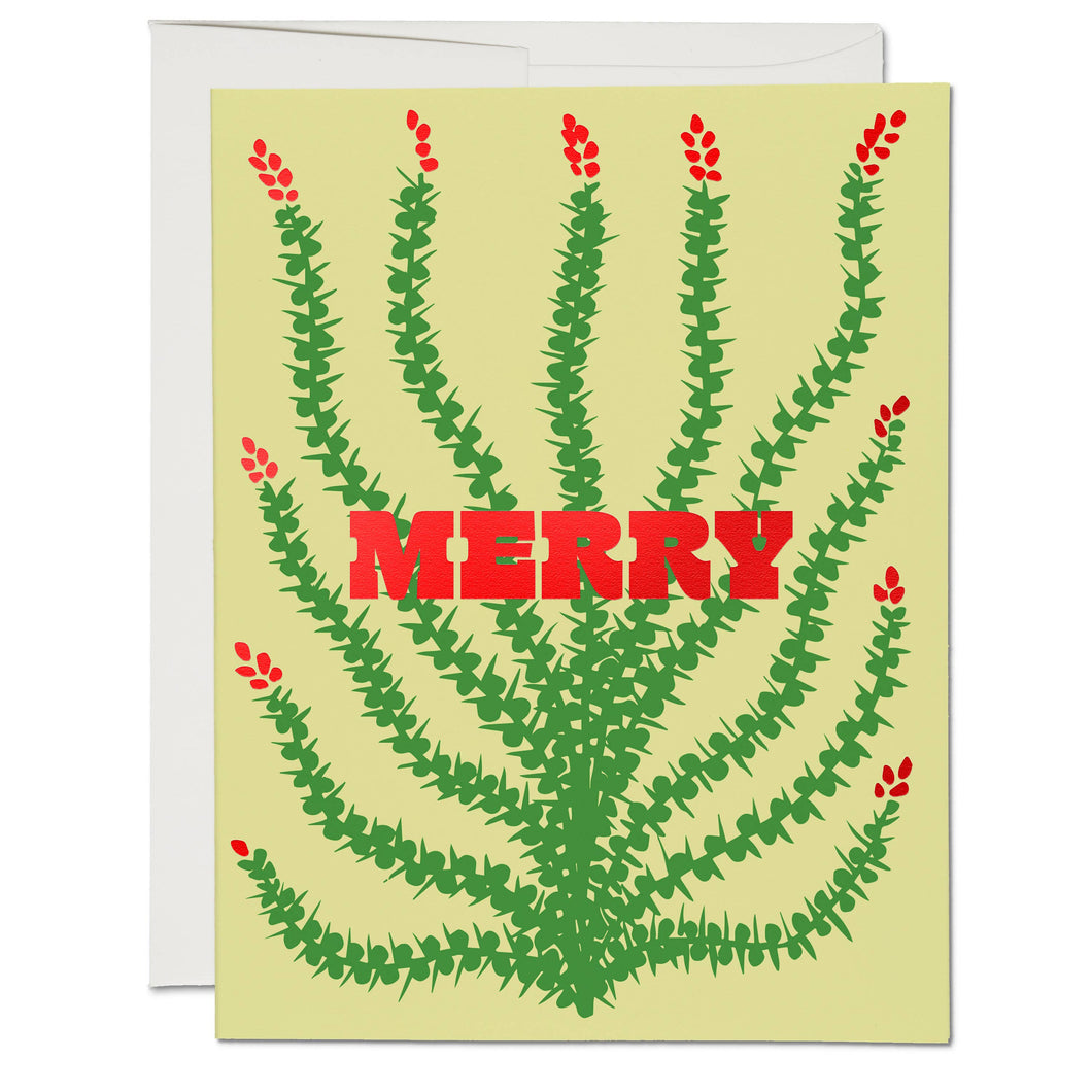 Holiday Cactus holiday Greeting Card  |  Red Cap Cards (NH)