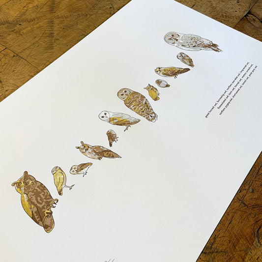 A Few Owls Letterpress Print | Susan Porteous (OR)