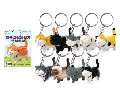 Best Friend Cat Figure Collectable Keyring Mystery Box  | K-Wonderland (Korea)