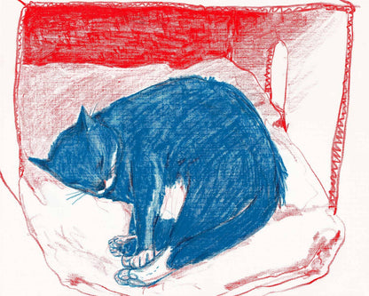 Pepper in His Box Art Print | Rebekah Evans (NC)