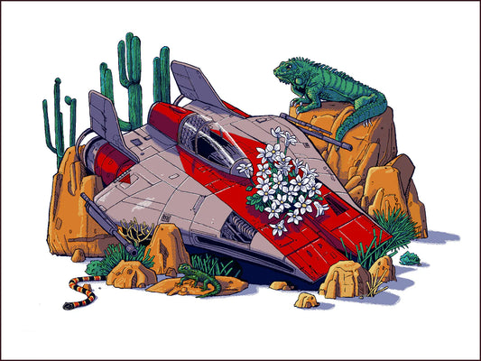 A-Wing in the Desert Screen Print | Time Doyle (TX)