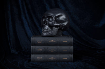 Stacked copies of Dark Inspiration beneath a black skull