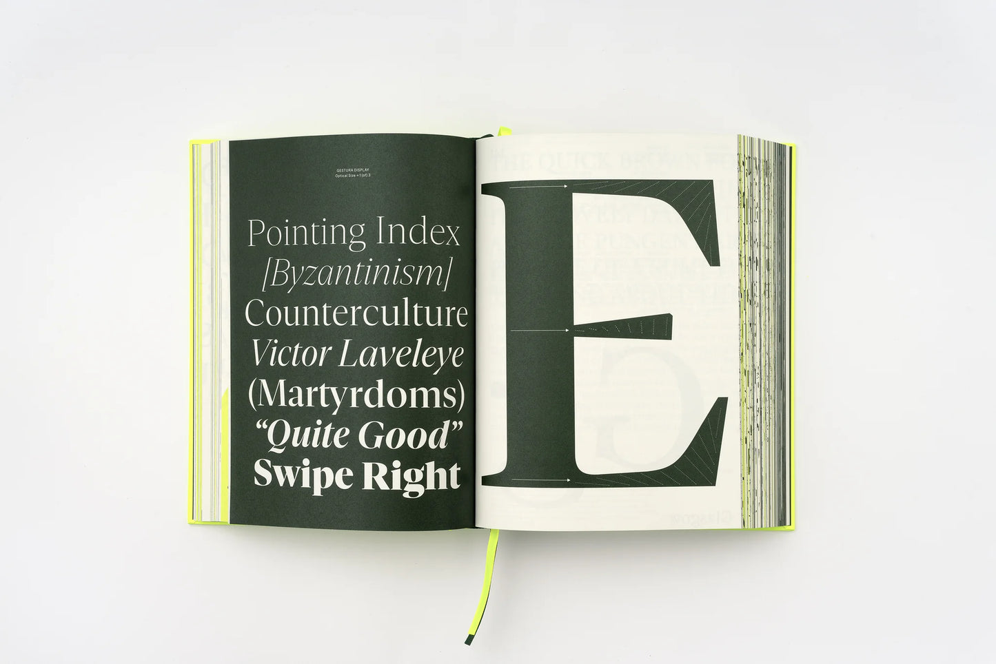 Serif in Use: Creative Typefaces and Their Applications