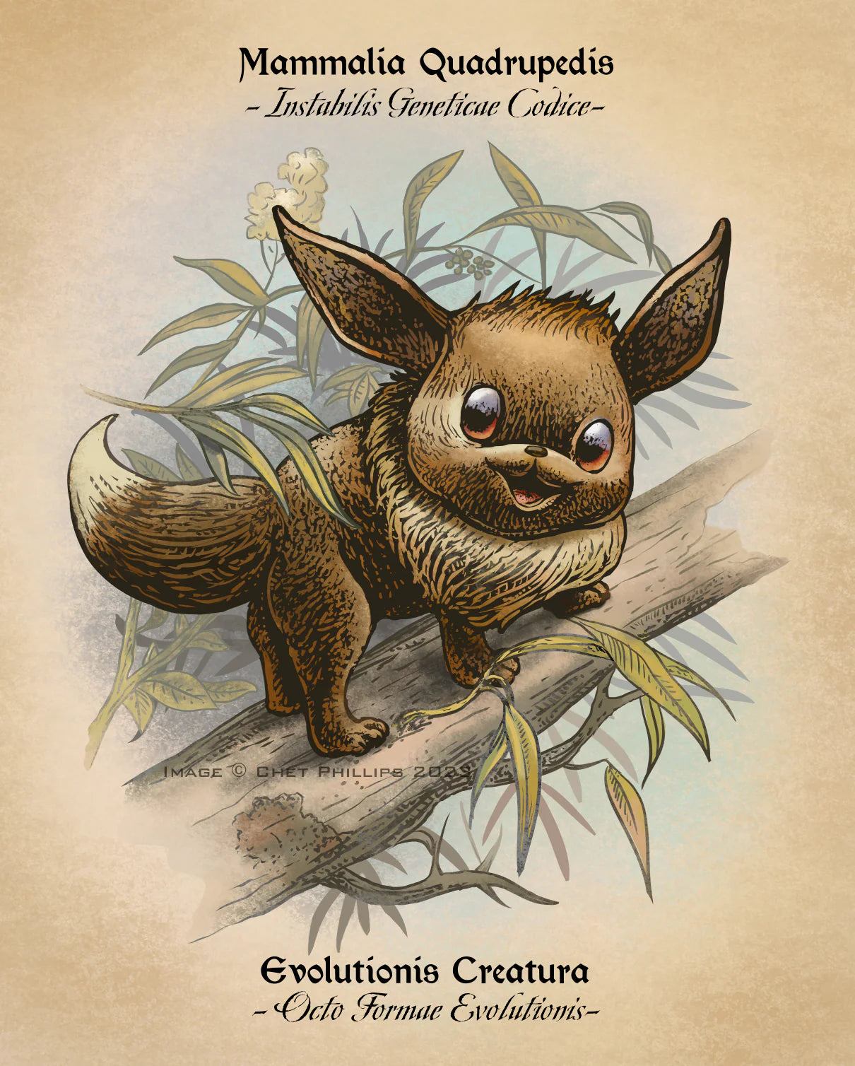 Eevee Study Print | Chet Phillips (TX)