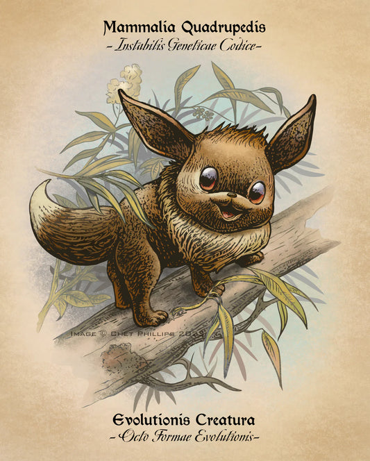 Eevee Study Print | Chet Phillips (TX)