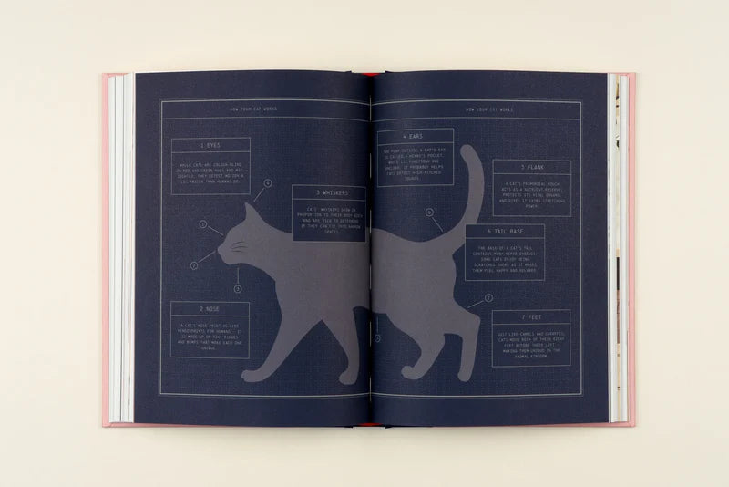 Felinity: An Anthology of Illustrated Cats
