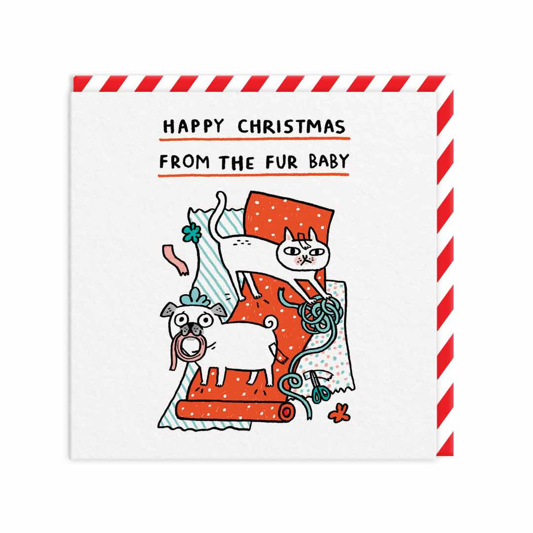 Happy Christmas From The Fur Baby Christmas Card | Gemma Correll (UK)