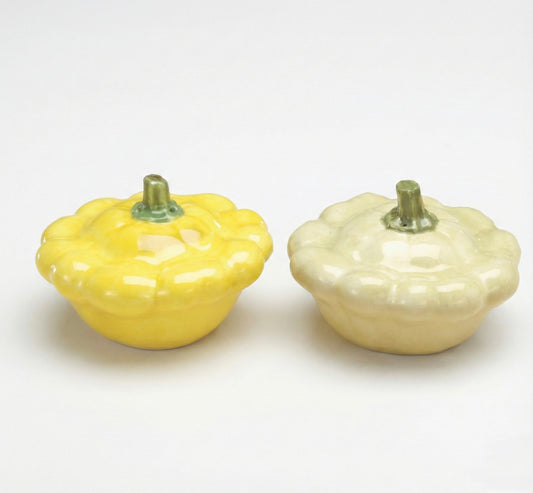 Summer Squash Ceramic Salt and Pepper Shaker Set