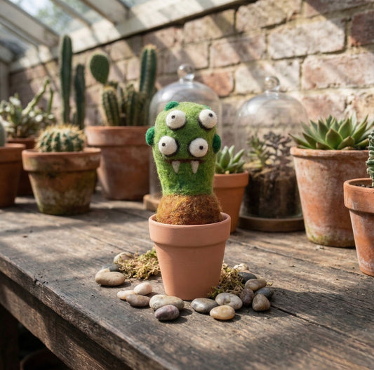Handmade Wool Needle Felted Club Cactus Plant | Woolbuddy (CA)