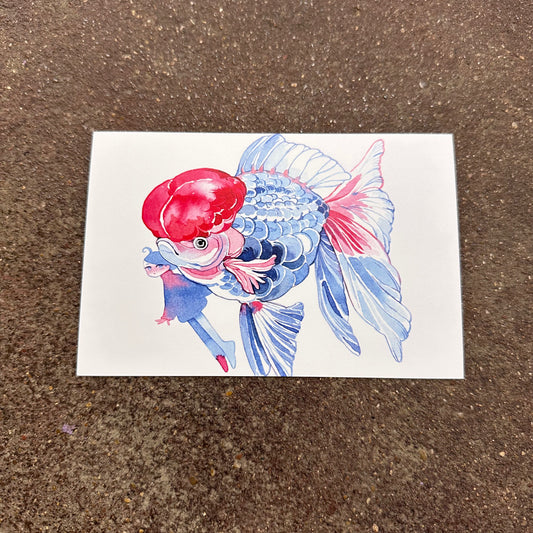 Kingyo Series Mini Print | Blue | Koyamori (CAN)