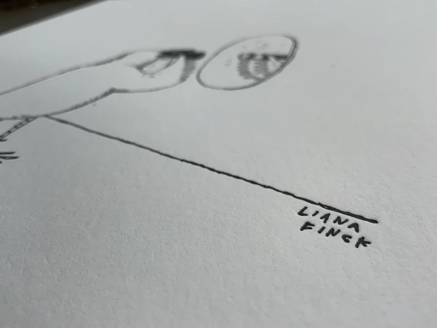 Bird Watching Letterpress Print | Liana Finck (NY)