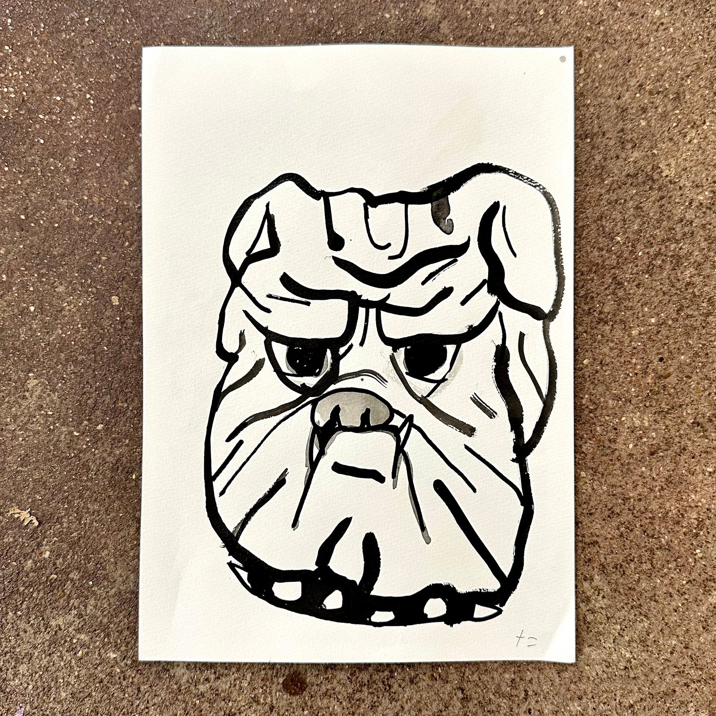 Bulldog – Original Watercolor | Fantasy Boy Taro (TX)