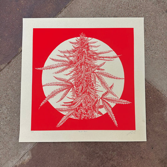 Big Bud Screenprint | Luke Martin (MD)