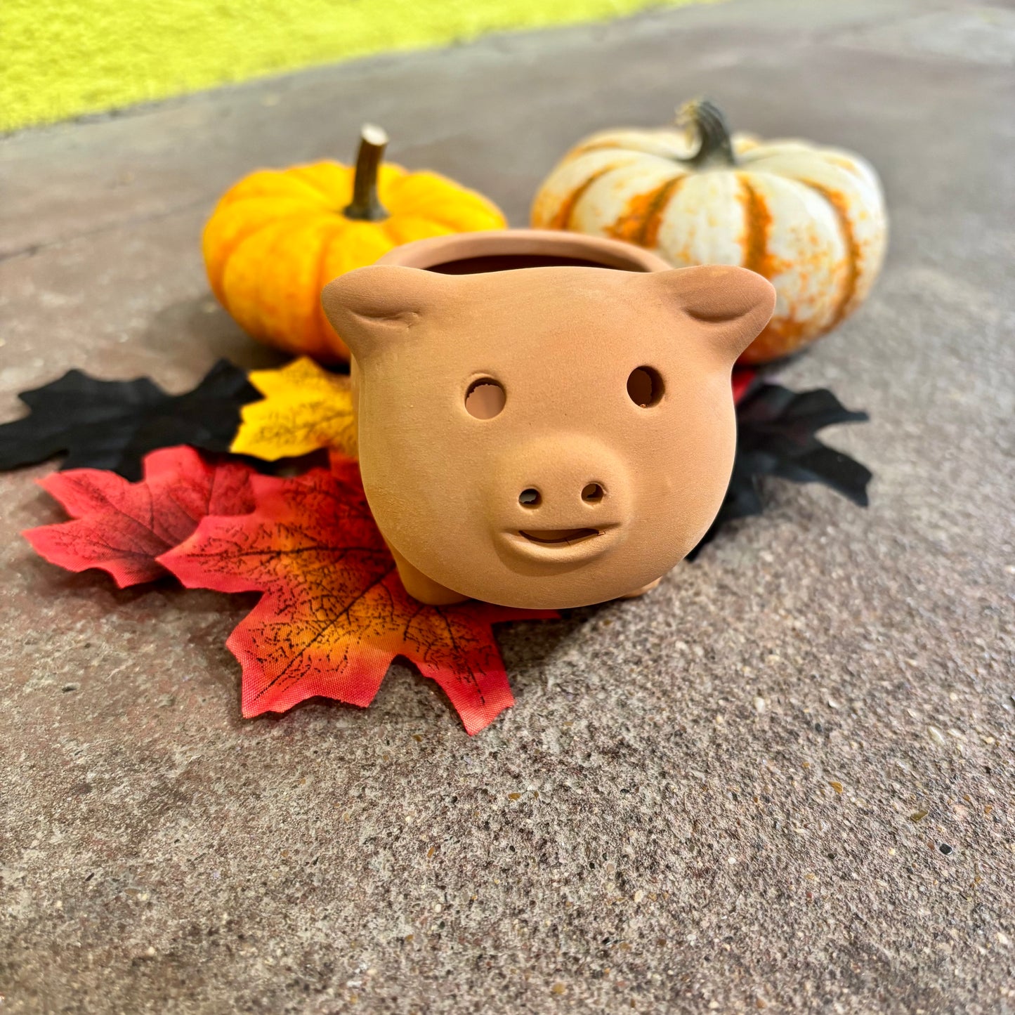 Terra Cotta Pig Planter | Green House(Japan)