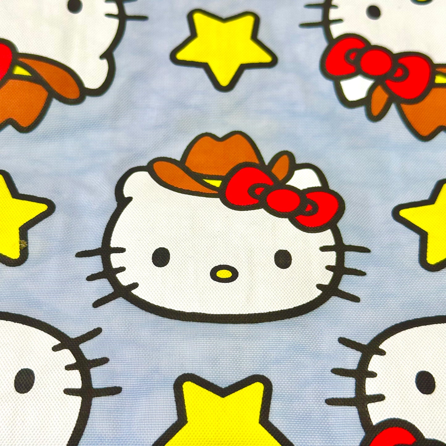 Hello Kitty Go Pouch | Western Series | Large | Sanrio x Baggu (Ca)