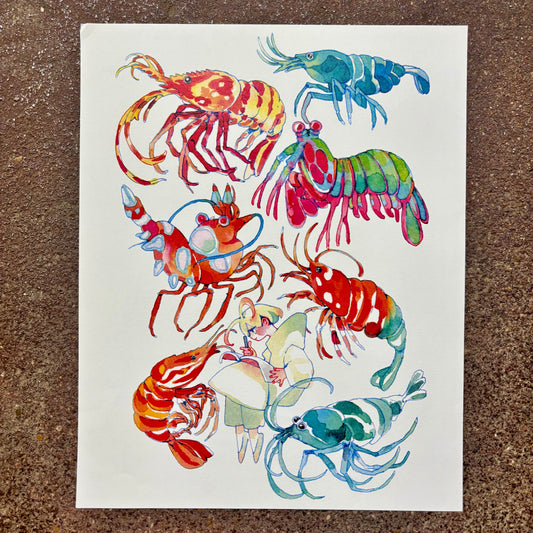 Shrimp! Art Print | Koyamori (CAN)