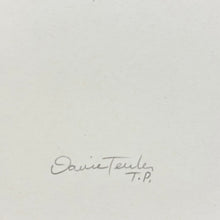 Load image into Gallery viewer, Guitar Raccoon Screen Print | Daria Tessler (OR)
