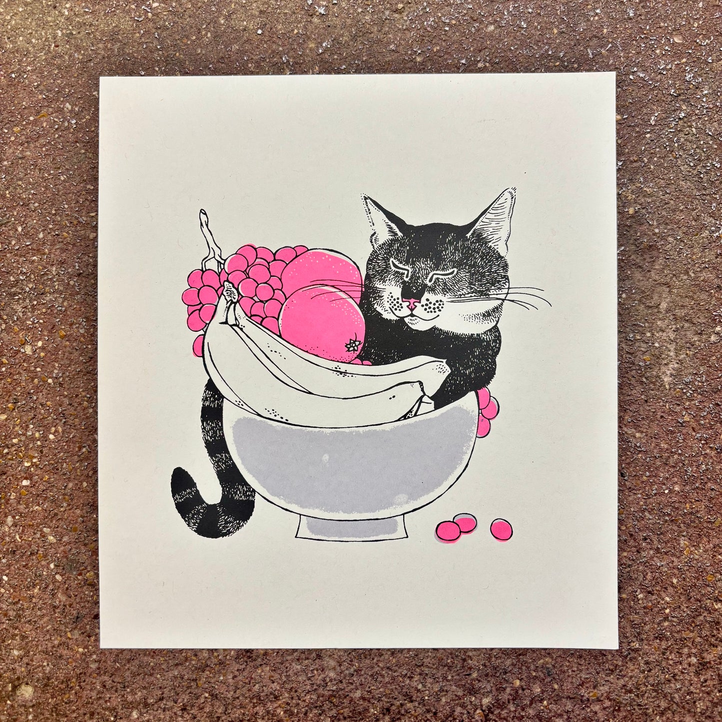 Fruit Bowl Cat Screen Print | Daria Tessler (OR)