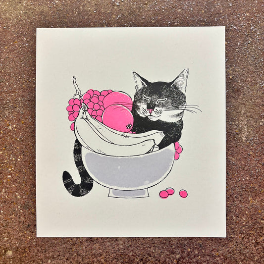 Fruit Bowl Cat Screen Print | Daria Tessler (OR)