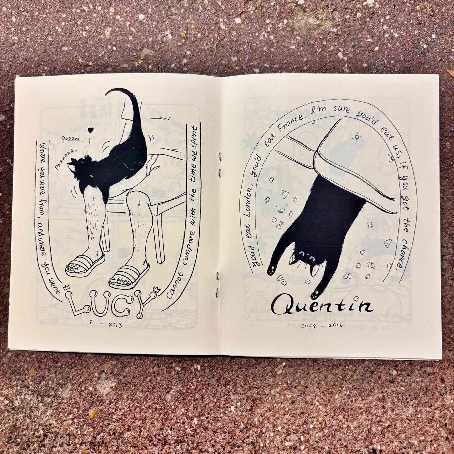 Korean American Creature Comfort Zine | SY Choi and Eric Watkins (CA)