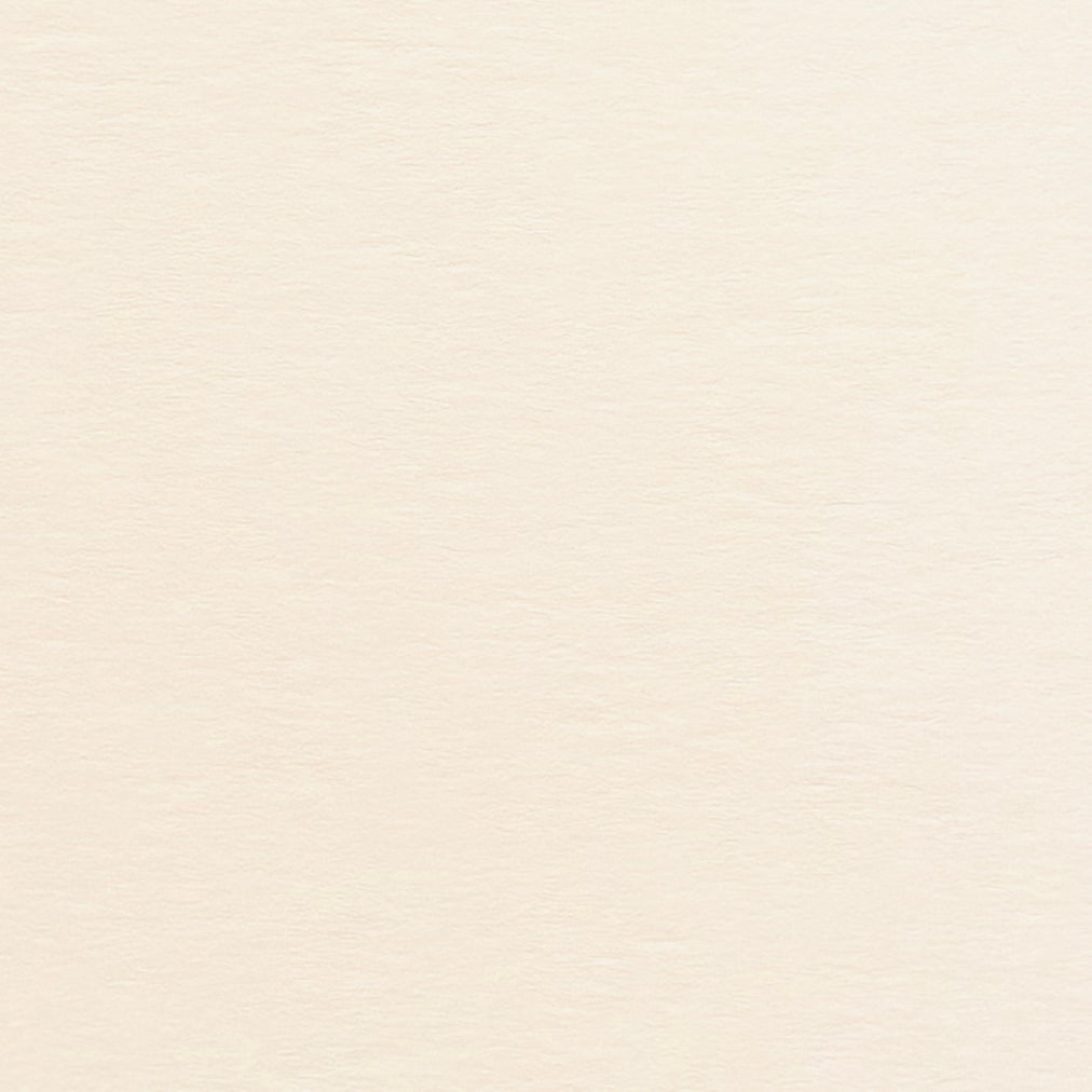 Postcard Style vif Art Paper | Watercolor/Fine Grain | Maruman (Japan)