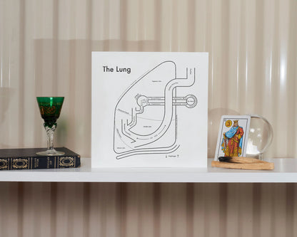 Lung | Archie’s Press (NY)