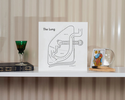 Lung | Archie’s Press (NY)