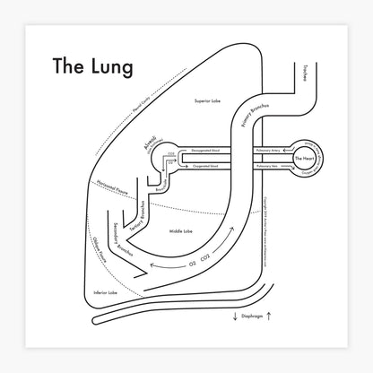 Lung | Archie’s Press (NY)