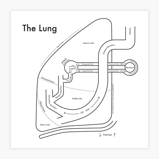 Lung | Archie’s Press (NY)