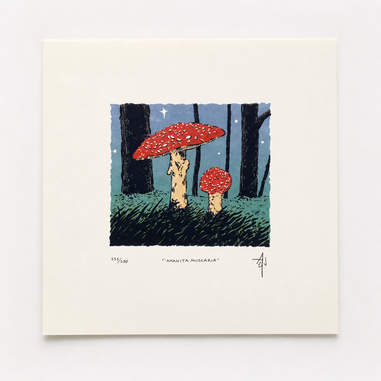 Amanita Muscaria Screenprint | Allison & Jonathan Metzger (IA)