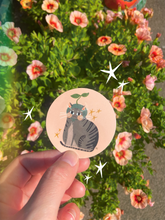 Load image into Gallery viewer, Cat Sprout Circle Sticker | Rachele Cromer (OK)
