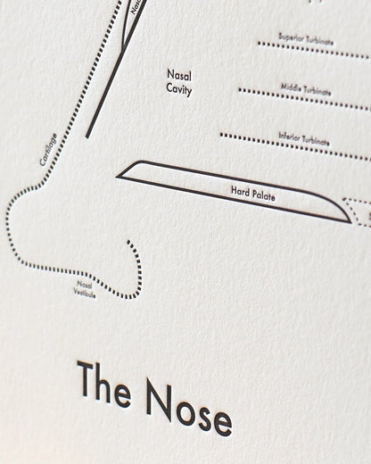 Nose | Archie’s Press (NY)