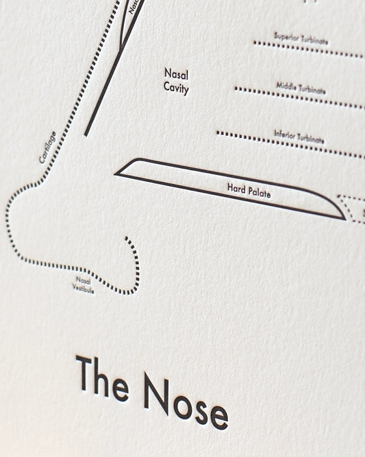 Nose | Archie’s Press (NY)